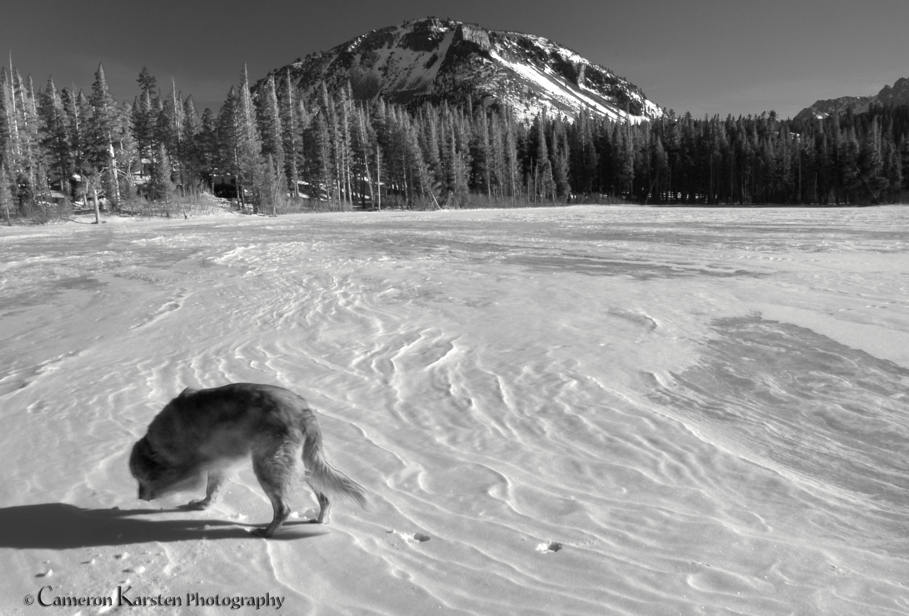 DSC_0016---Version-2