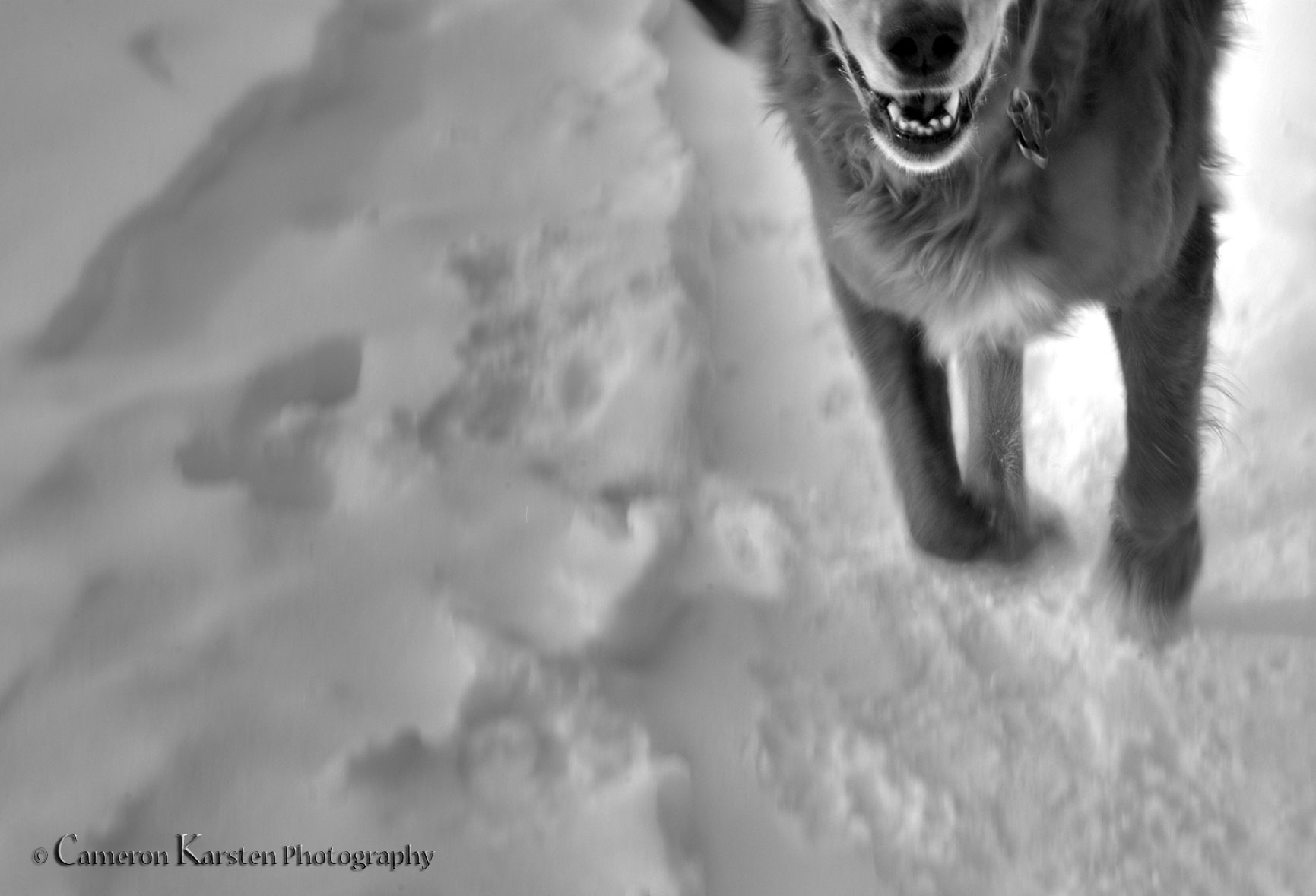 DSC_0042---Version-2