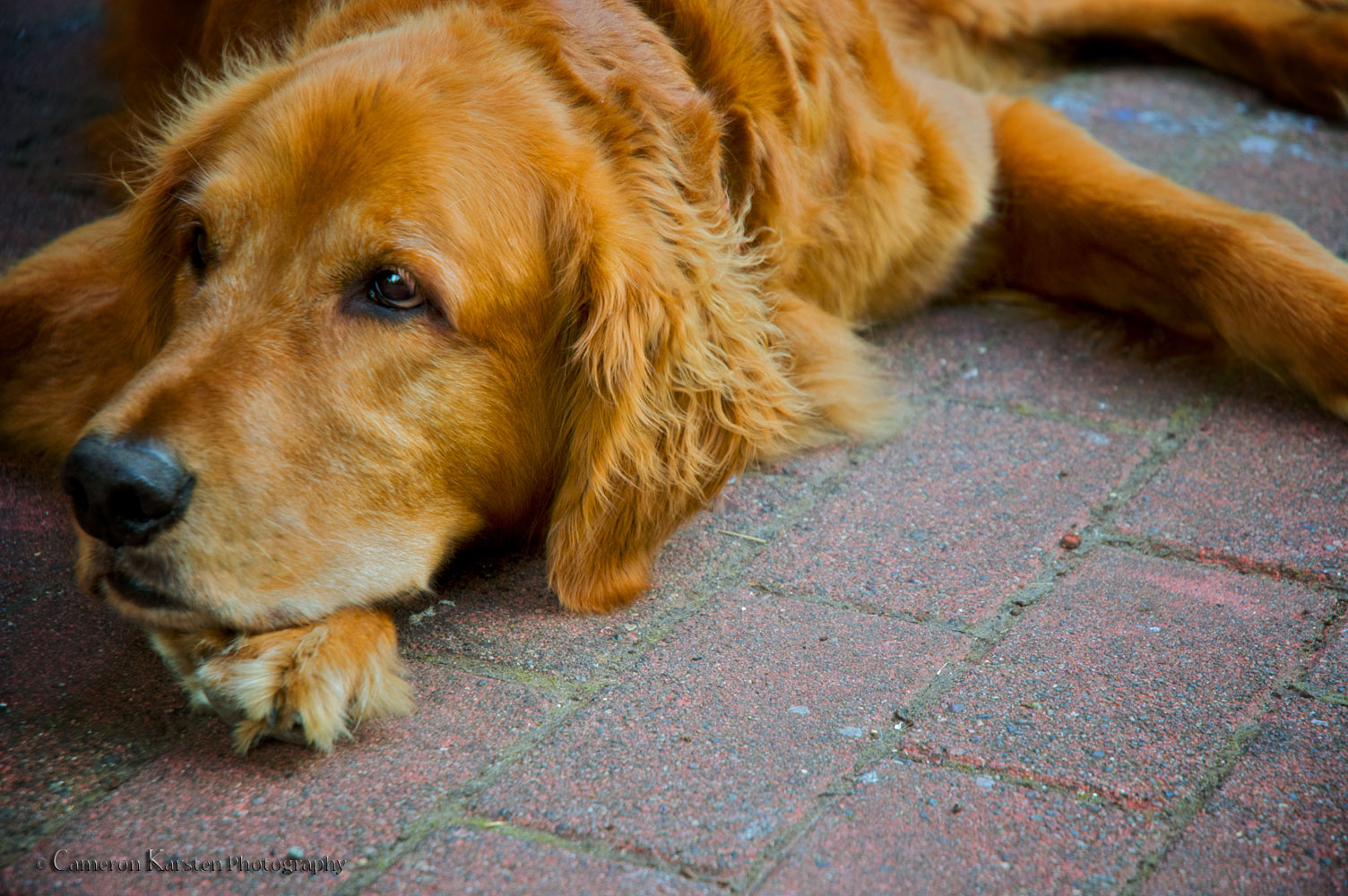 DSC_0141---Version-2