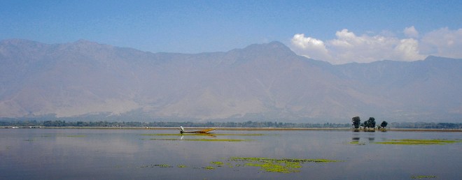 Peace-Among-a-Kashmiri