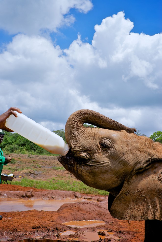 DSC_0024---Version-2