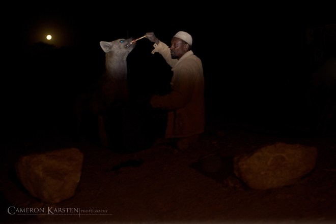 Hyena-Reconciliation