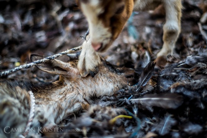 Day13_AbomeySavalou-32