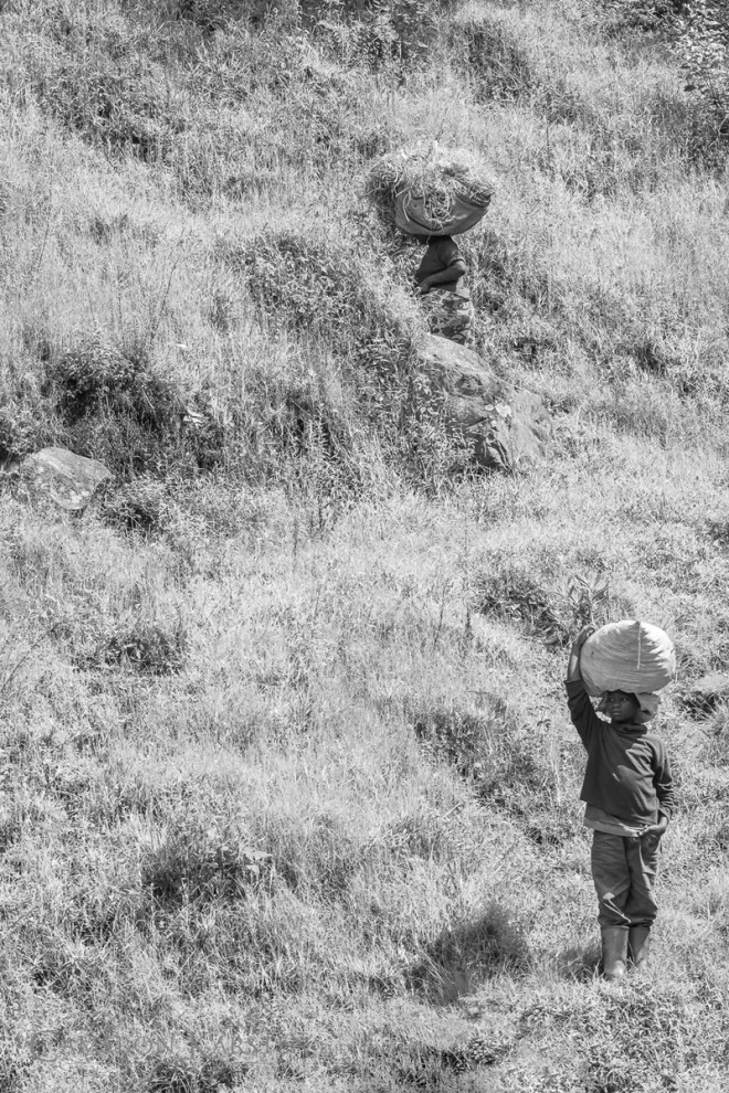 Day10_RwandaVirunga-17-Edit-Edit