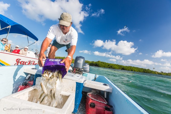 BelizeReefFishing-52