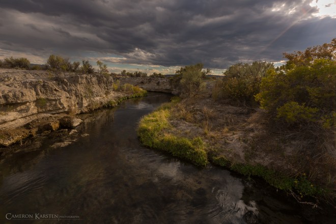 CameronKarsten_Landscape-8