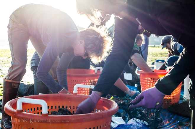 PSRF_Harvest1-239-copy