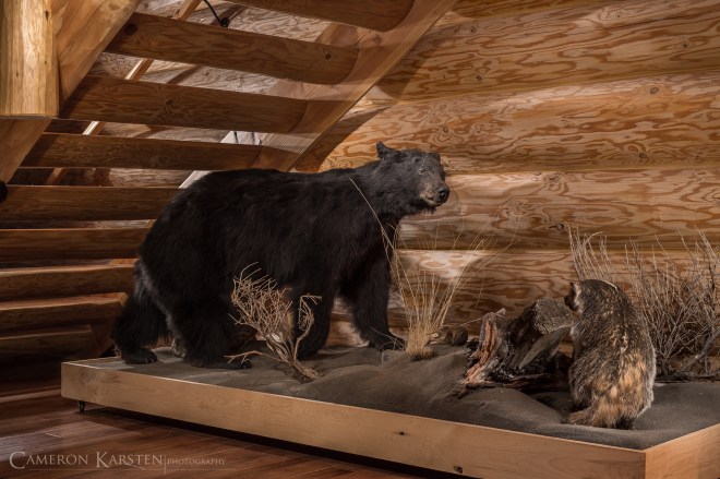 CountryLife-163-Edit