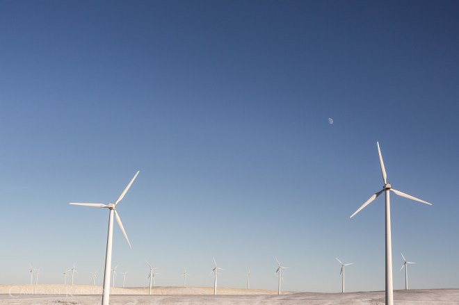 NewYearsRanch_2014_2015-394