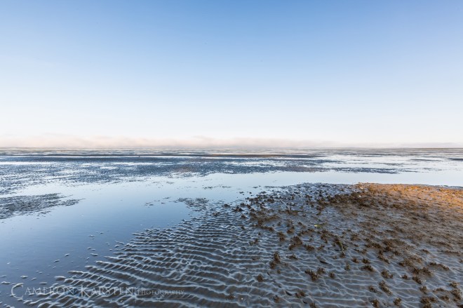 KimPatten_Bloomberg-122