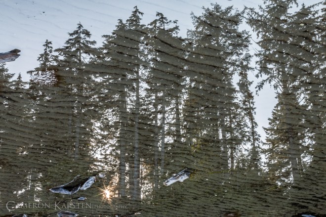 KimPatten_Bloomberg-142