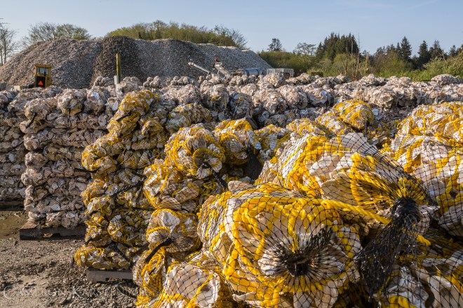 KimPatten_Bloomberg-147