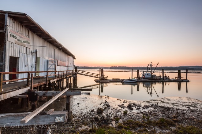 KimPatten_Bloomberg-23