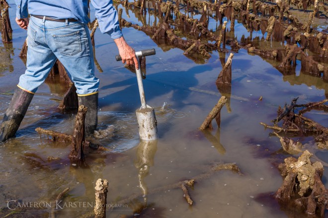 KimPatten_Bloomberg-364