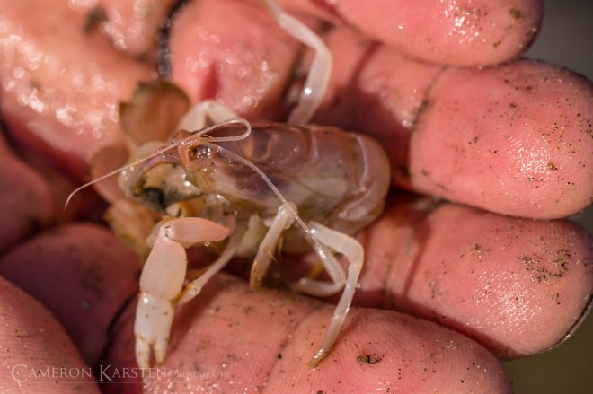 KimPatten_Bloomberg-381