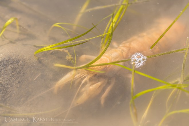 KimPatten_Bloomberg-399