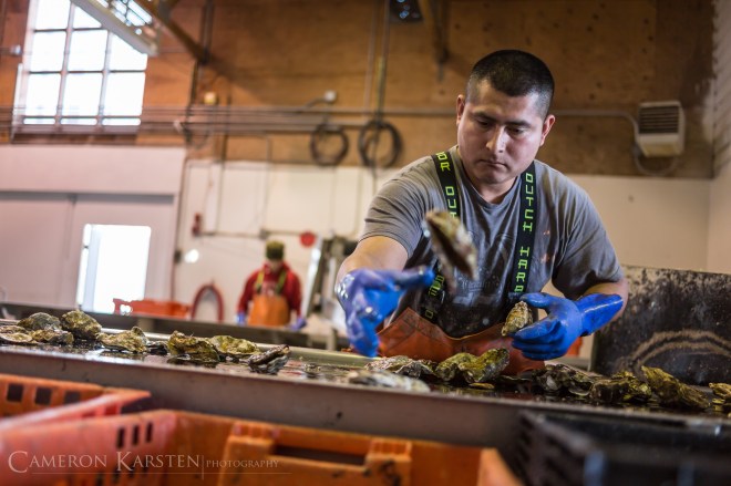 KimPatten_Bloomberg-430