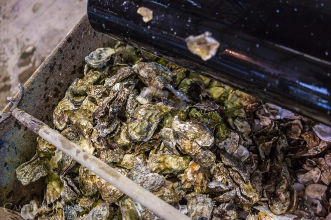 KimPatten_Bloomberg-458