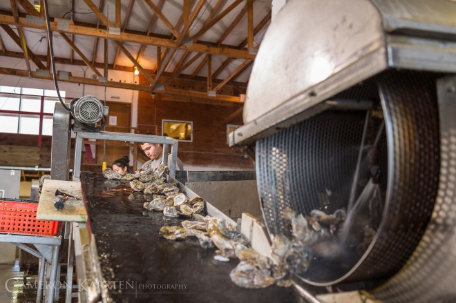 KimPatten_Bloomberg-497