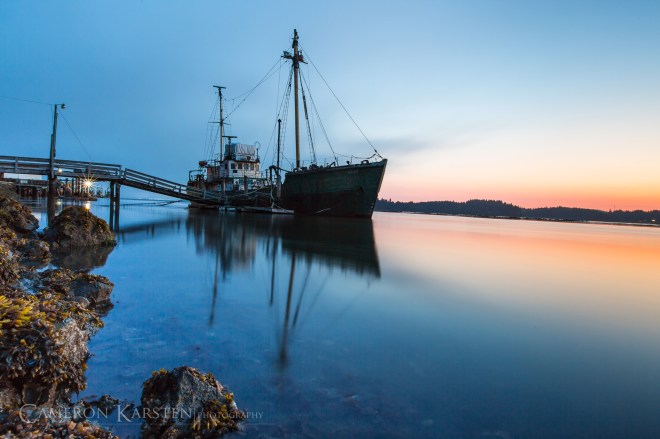 KimPatten_Bloomberg-5