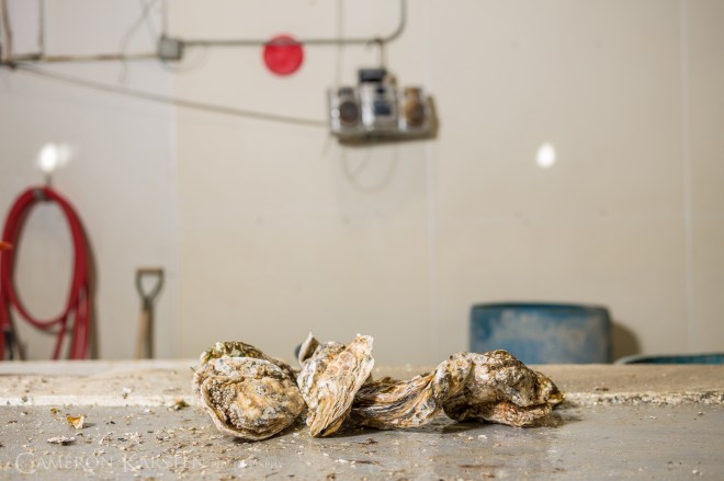 KimPatten_Bloomberg-510