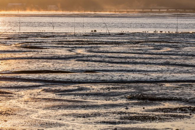 KimPatten_Bloomberg-68