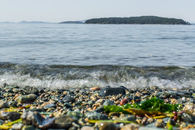 TNC_YellowIsland-418