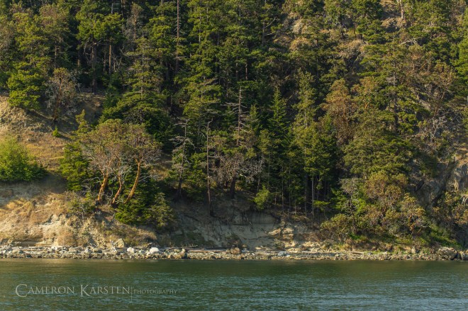 TNC_YellowIsland-605