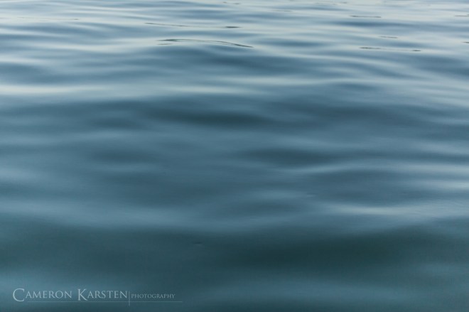 TNC_YellowIsland-615