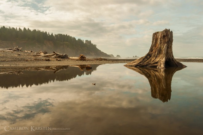 21H x 31W giclee print on Moab 300gsm Entrada Rag. Limited 10 Editions prepared with cream matt on silver aluminum frame behind museum glass. Total dimensions approximately 30H x 39W (10 editions remaining).