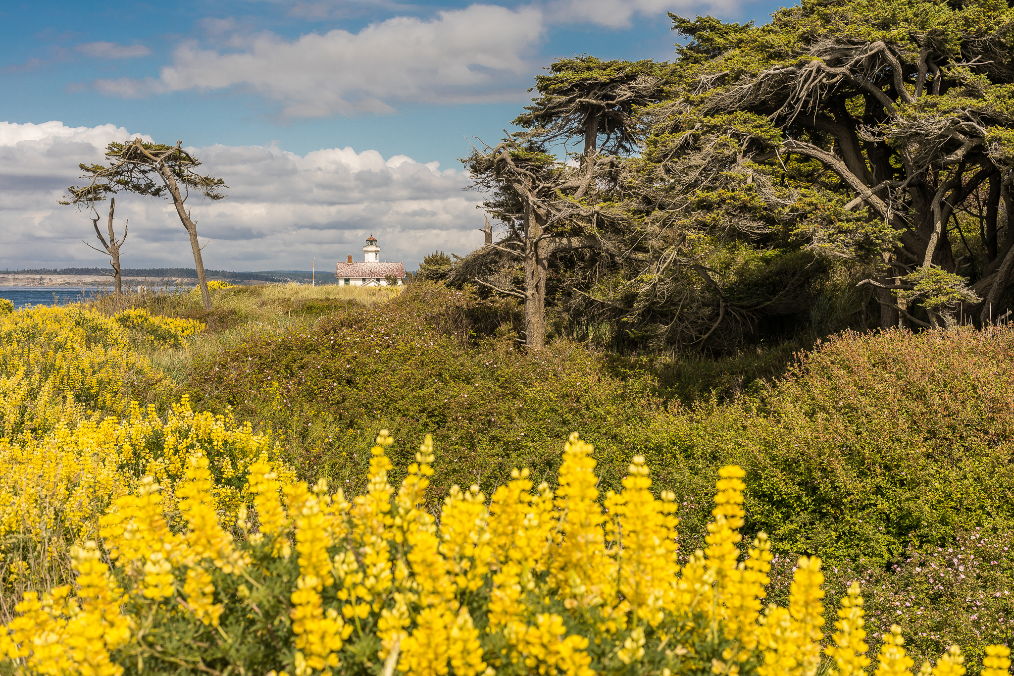 Olympic Penninsula Top 25 for Seattle Met