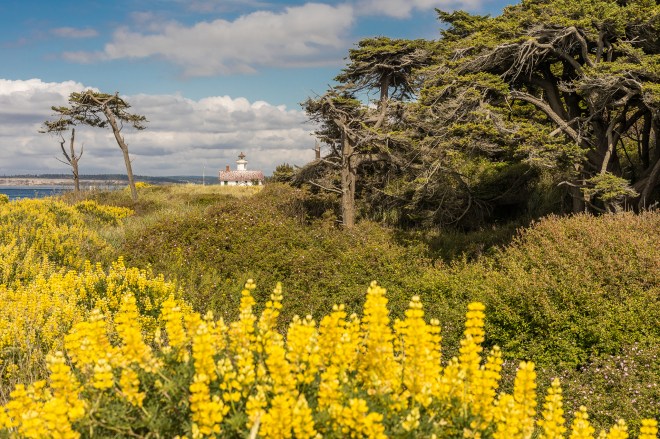 Olympic Penninsula Top 25 for Seattle Met