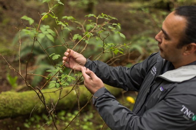 © Cameron Karsten Photography The Nature Conservancy at the Makah Reservation in Neah Bay, WA with Tribal member TJ
